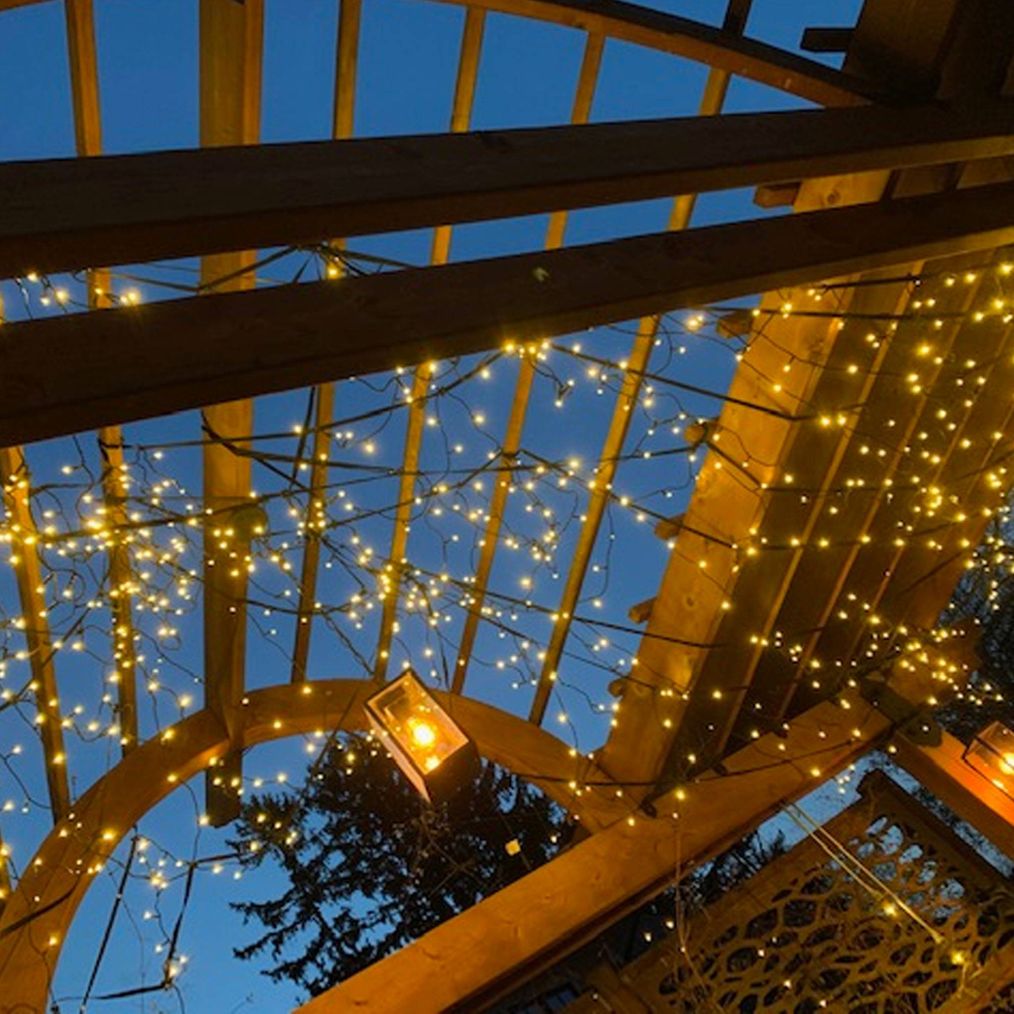 Aurora Garden Lights