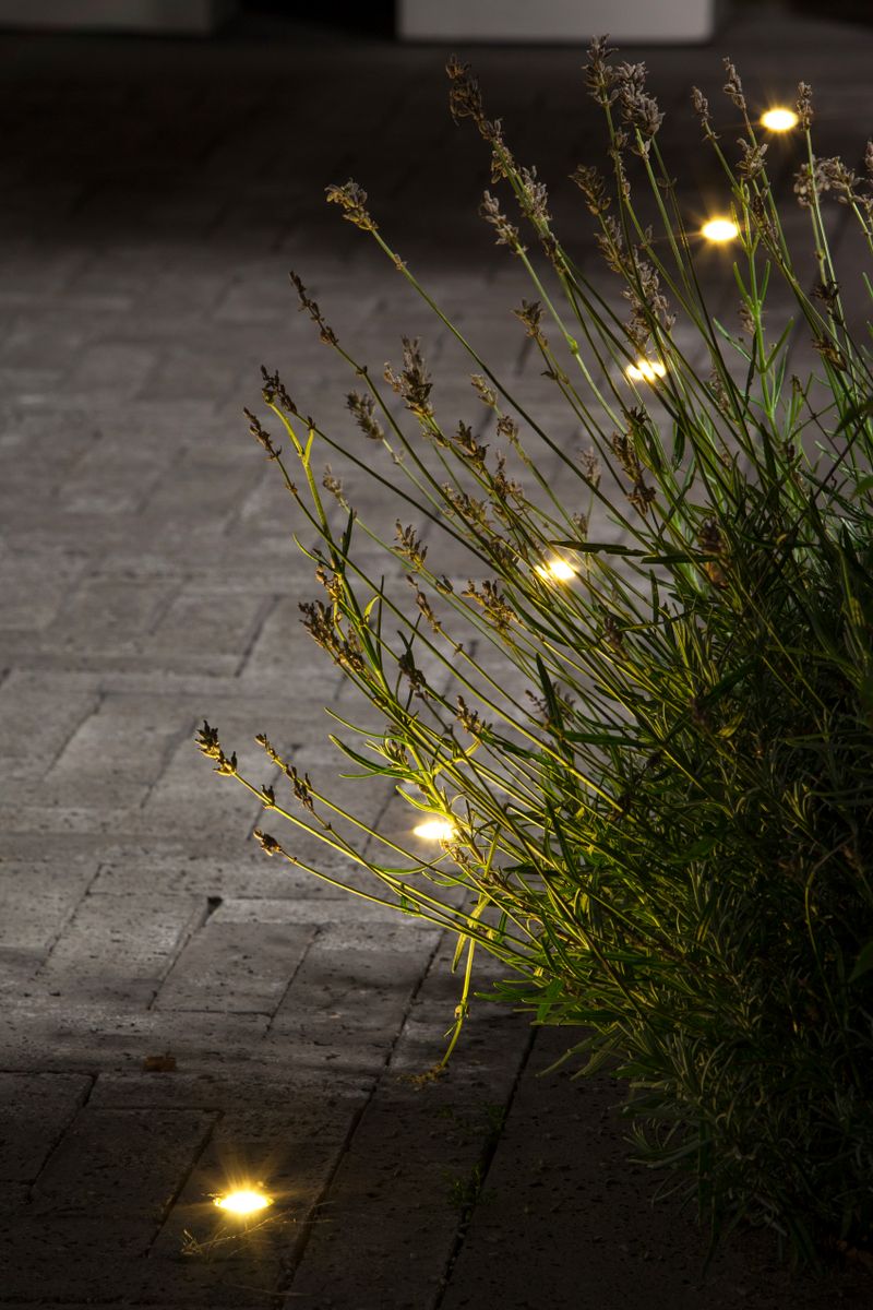 in-lite DB-LED