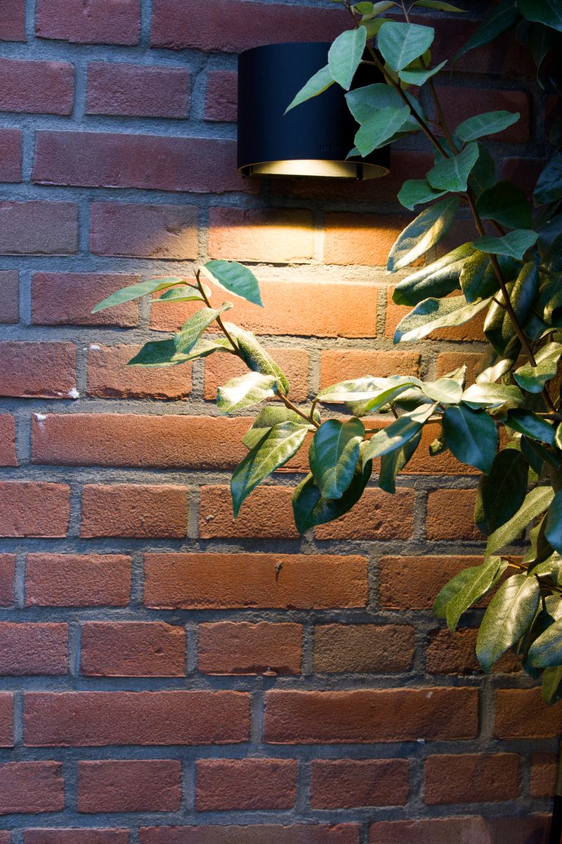 in-lite Halo Down 100-230V