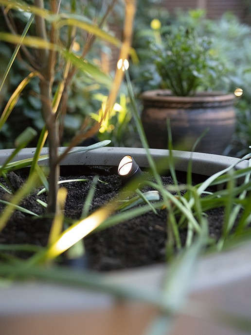 in-lite Mini Scope