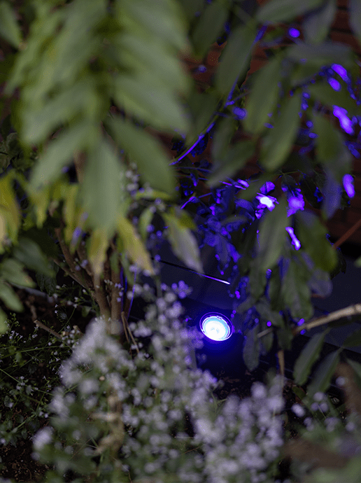 in-lite Smart Scope Tone