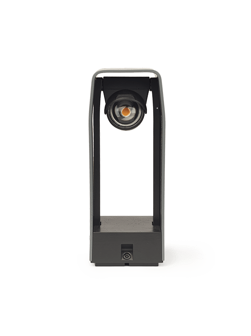 in-lite Wink
