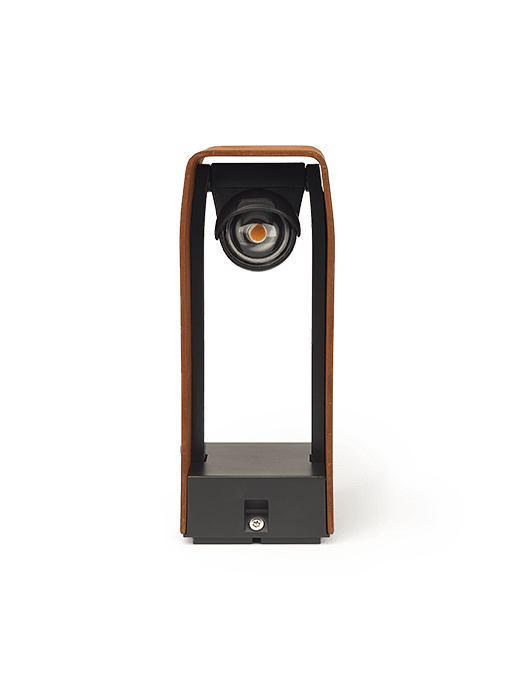 in-lite Wink