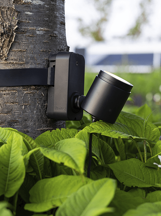 in-lite Brace