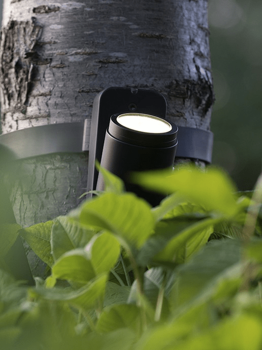 in-lite Brace