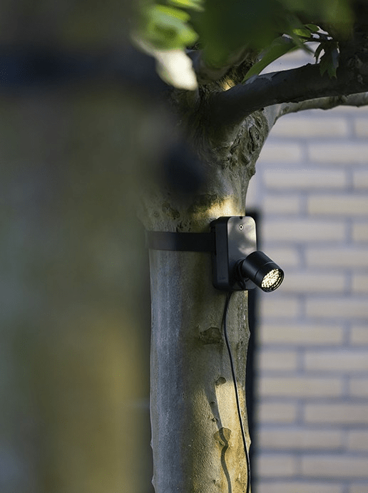 in-lite Brace