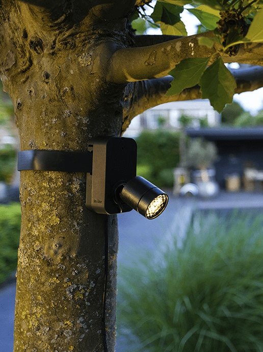 in-lite Brace