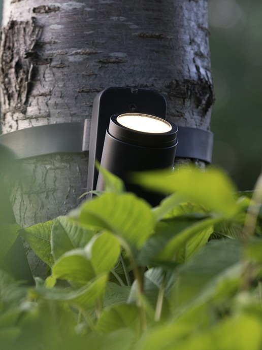 in-lite Brace Band