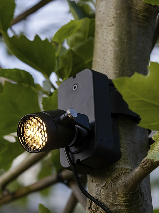 in-lite Brace Band