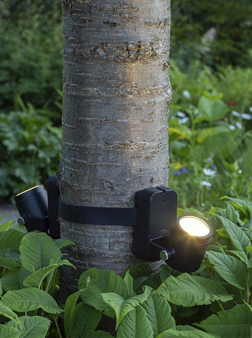 in-lite Brace Band