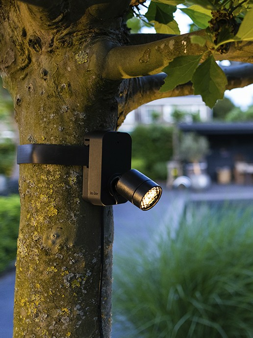 in-lite Brace Band