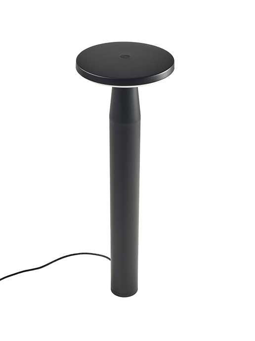 in-lite Disc