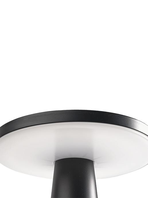 in-lite Disc Low