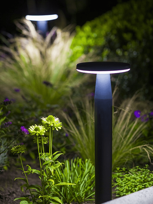 in-lite Disc