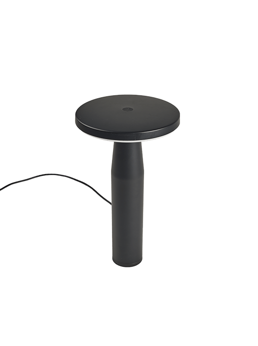 in-lite Disc Low