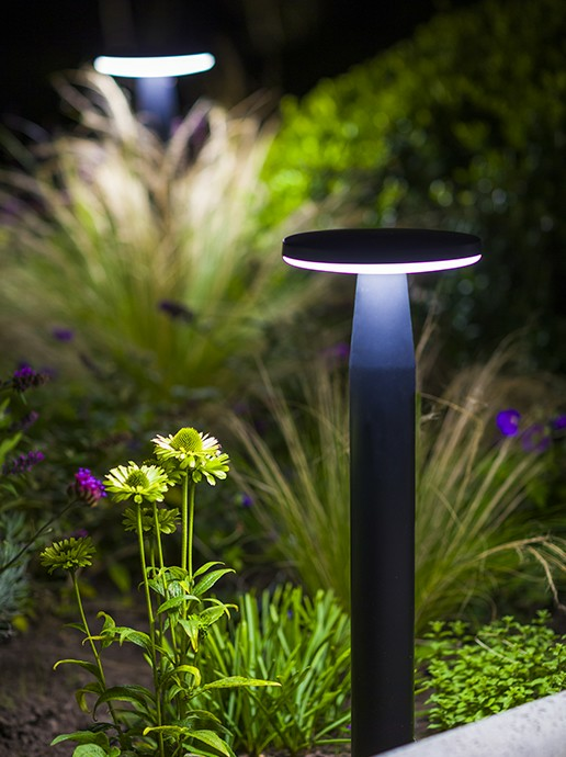 in-lite Disc Low