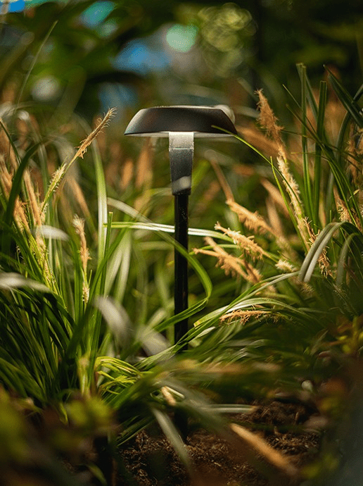 in-lite Mini Sway