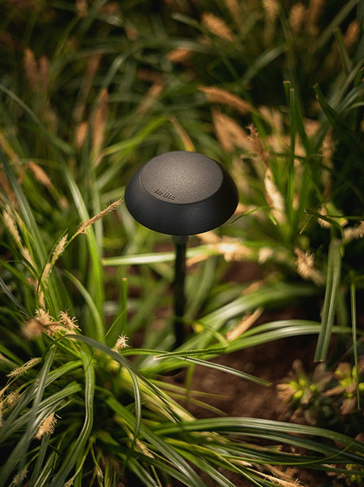in-lite Mini Sway