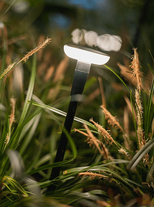 in-lite Mini Sway