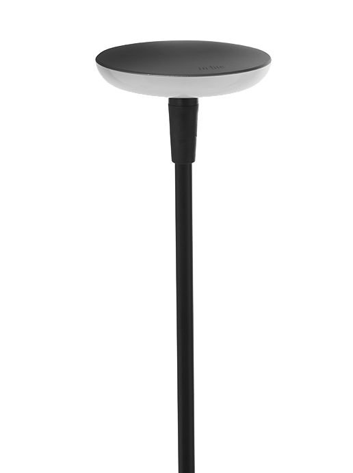 in-lite Sway