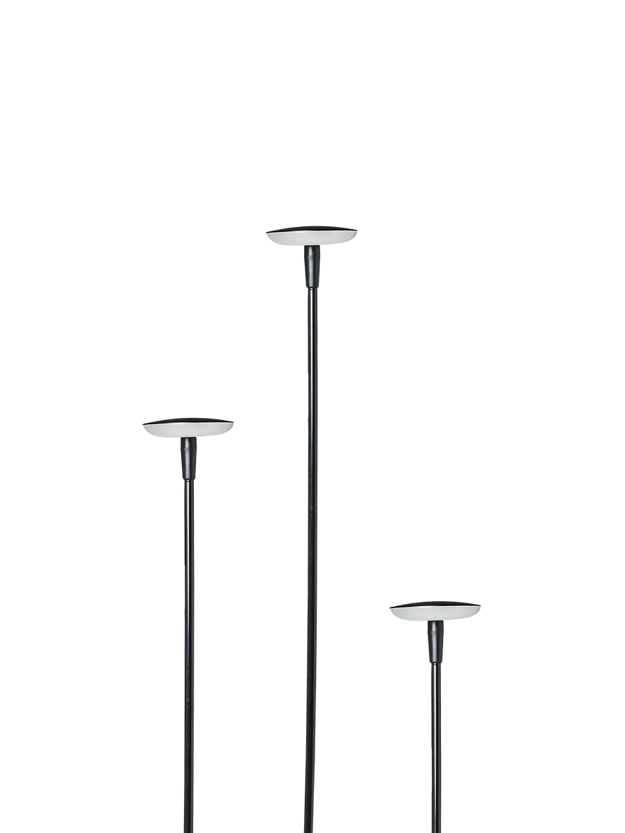 in-lite Sway