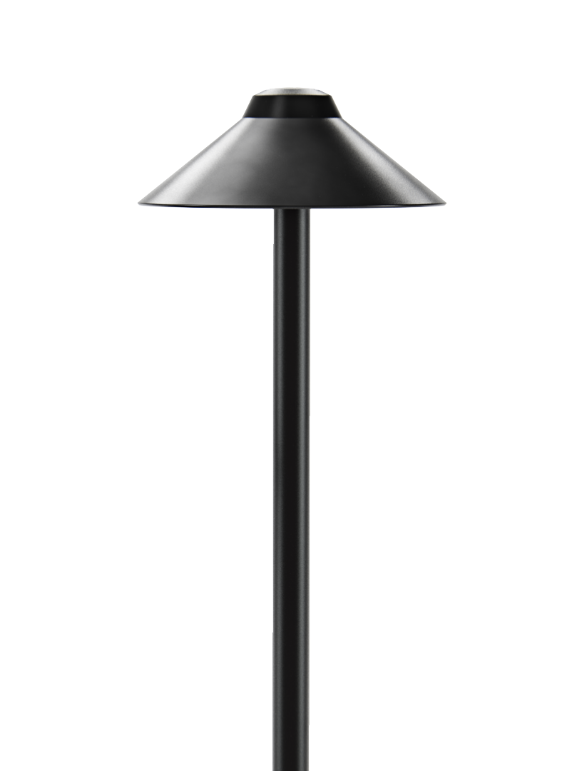 in-lite Nail