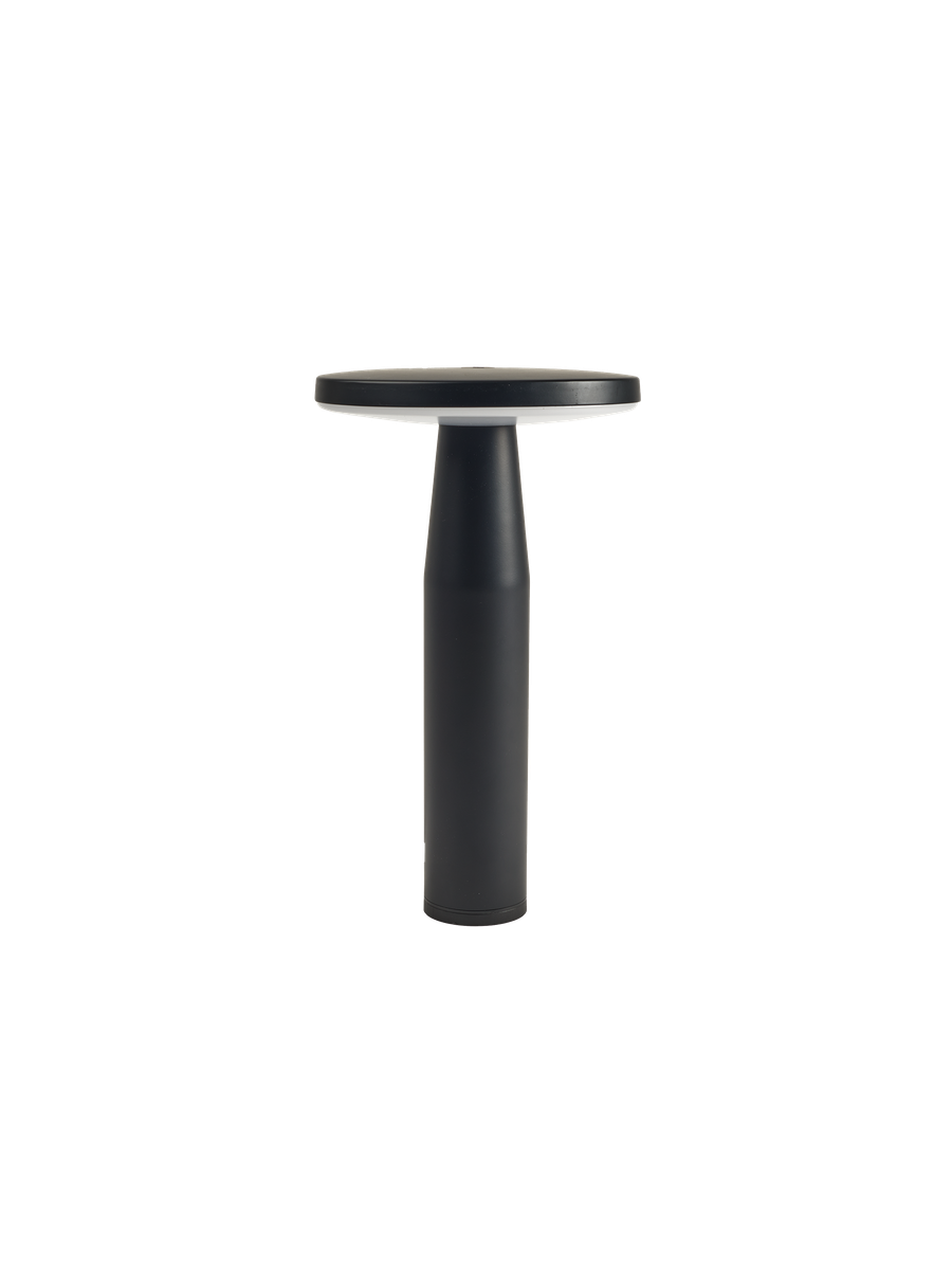 in-lite Disc Low