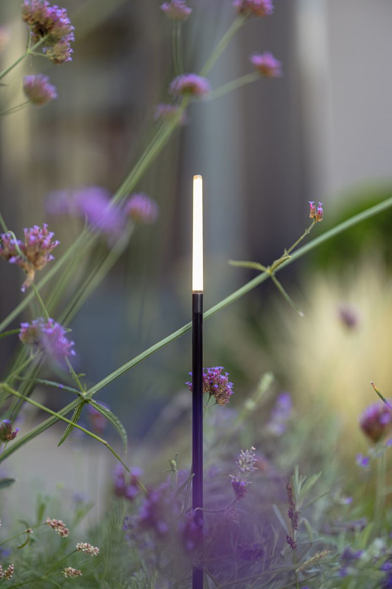 in-lite Breeze Low
