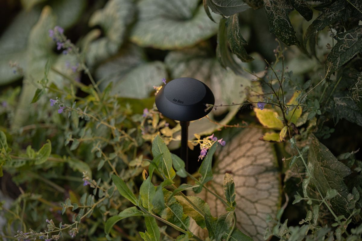 in-lite Mini Sway Cap