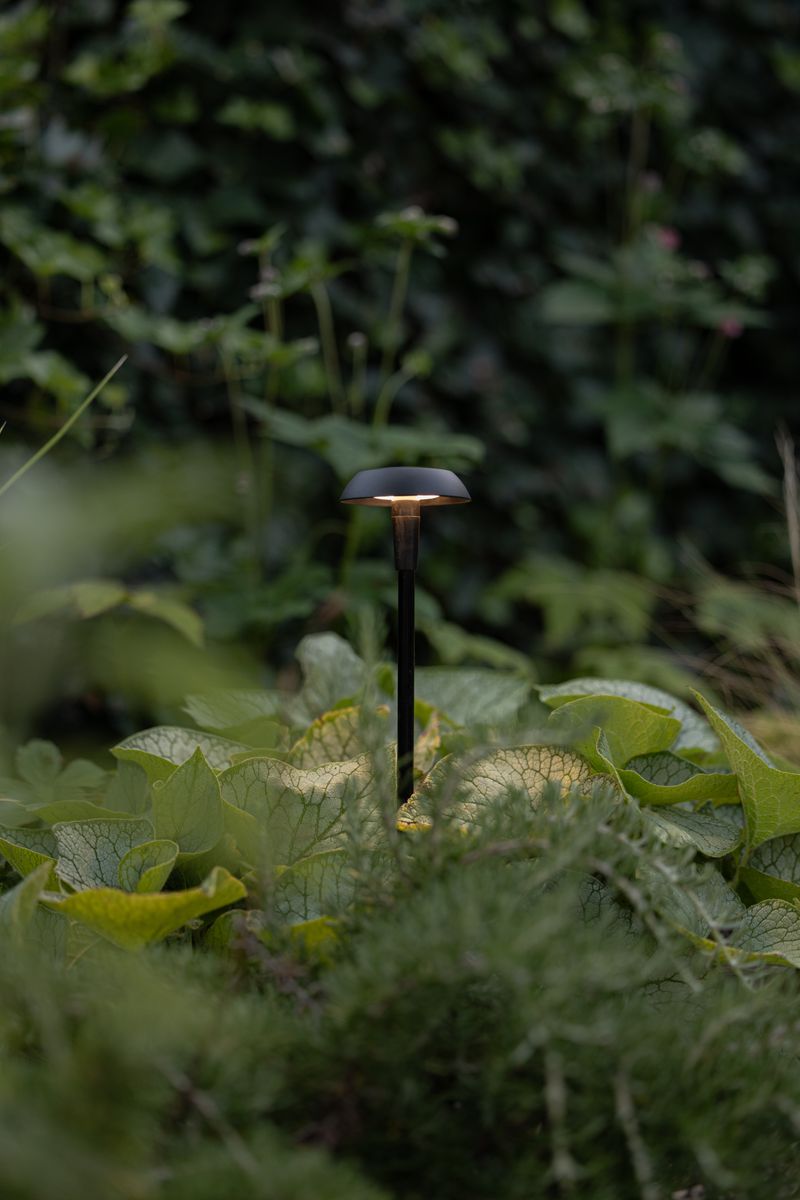 in-lite Mini Sway Cap