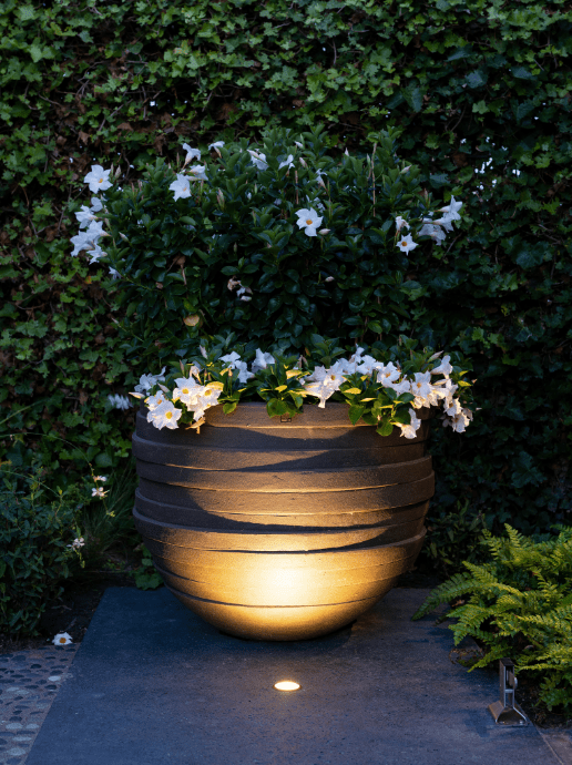 in-lite Luna - Black