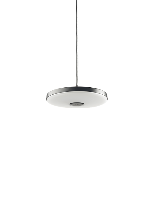 in-lite Disc Pendant