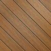 up close shot of FIBERON Sanctuary Moringa